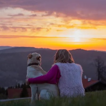 Hotel Hunderesort Waldeck - 4 Sterne Urlaub Mit Hund 3*