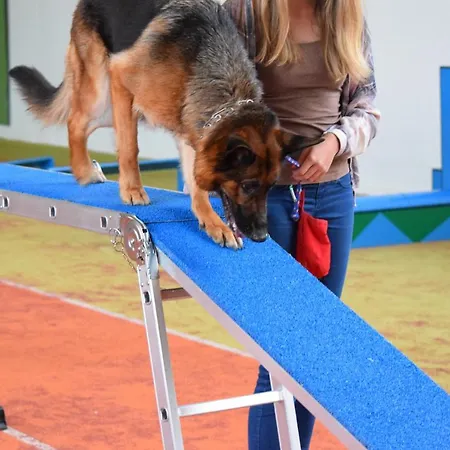 Hunderesort Waldeck - 4 Sterne Urlaub Mit Hund מלון 3*