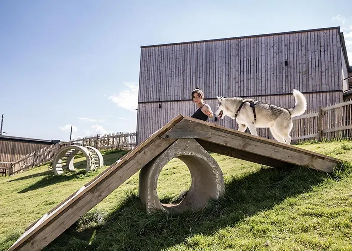 Hunderesort Waldeck - 4 Sterne Urlaub Mit Hund Philippsreut