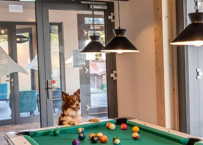 Hotel Hunderesort Waldeck - 4 Sterne Urlaub Mit Hund