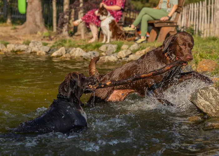 Hunderesort Waldeck - 4 Sterne Urlaub Mit Hund Philippsreut