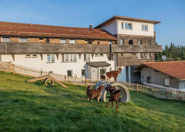 Hunderesort Waldeck - 4 Sterne Urlaub Mit Hund Philippsreut