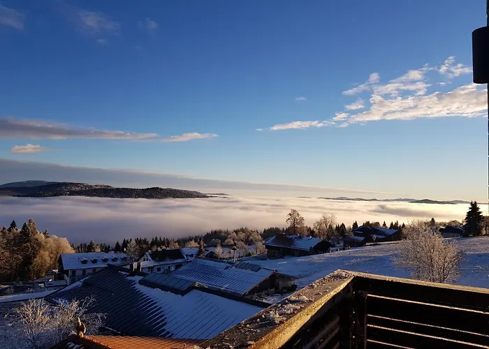 Hunderesort Waldeck - 4 Sterne Urlaub Mit Hund 3*