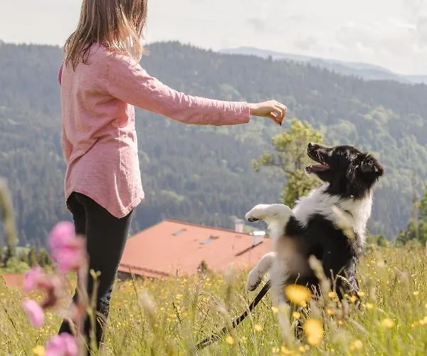 Hunderesort Waldeck - 4 Sterne Urlaub Mit Hund 3* Philippsreut