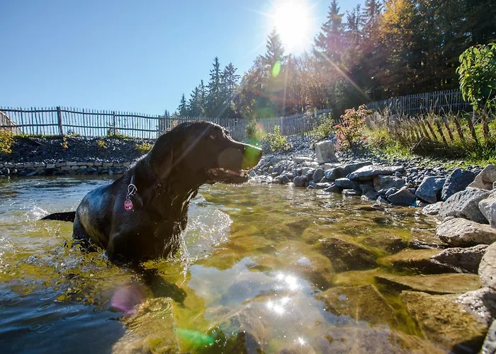 Hunderesort Waldeck - 4 Sterne Urlaub Mit Hund 3* Philippsreut
