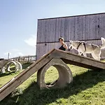 Hunderesort Waldeck - 4 Sterne Urlaub Mit Hund פיליפסרויט