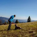 Hotel Haus Waldeck - Urlaub Mit Hund - Superior