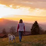Hunderesort Waldeck - 4 Sterne Urlaub Mit Hund 호텔 필립스부르그