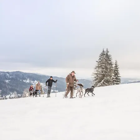 Hunderesort Waldeck - 4 Sterne Urlaub Mit Hund 3*
