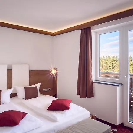 Haus Waldeck - Urlaub Mit Hund - Superior