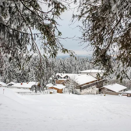 Hunderesort Waldeck - 4 Sterne Urlaub Mit Hund Hotel 3*