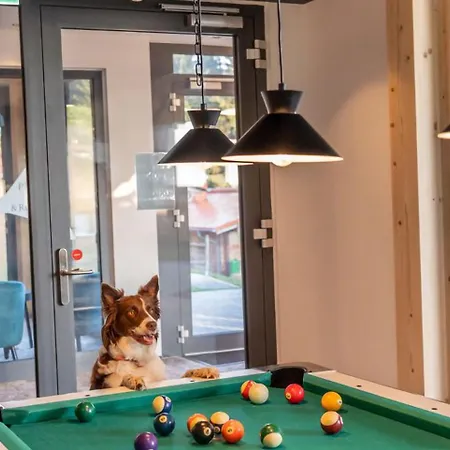 Hotel Hunderesort Waldeck - 4 Sterne Urlaub Mit Hund