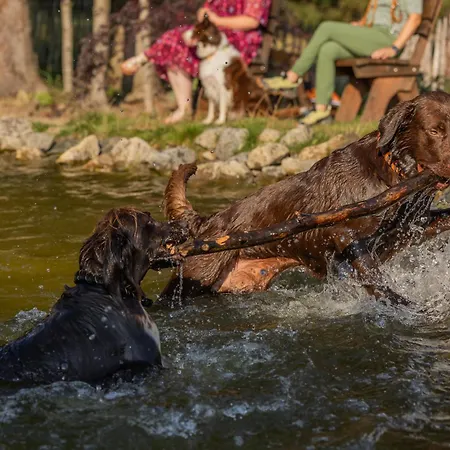 Hunderesort Waldeck - 4 Sterne Urlaub Mit Hund Philippsreut