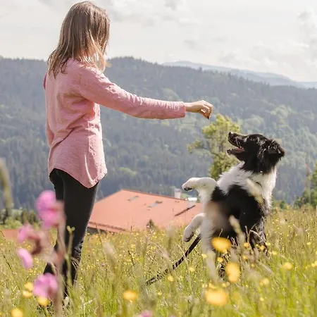 Hunderesort Waldeck - 4 Sterne Urlaub Mit Hund 3* Philippsreut