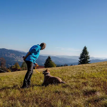 Hotel Hunderesort Waldeck - 4 Sterne Urlaub Mit Hund