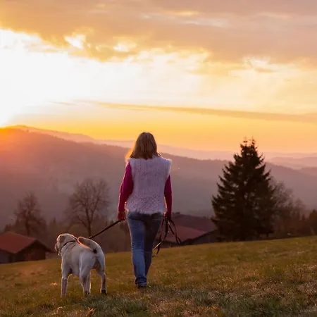 Hunderesort Waldeck - 4 Sterne Urlaub Mit Hund Hotel Philippsreut