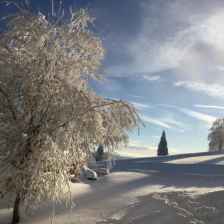 Hotel Hunderesort Waldeck - 4 Sterne Urlaub Mit Hund Philippsreut