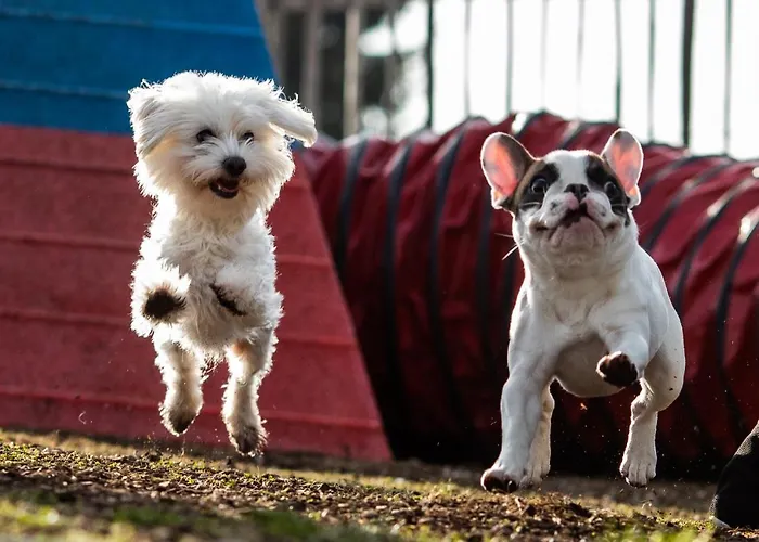 Hunderesort Waldeck - 4 Sterne Urlaub Mit Hund 호텔 3*