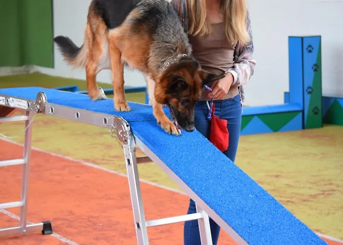 Hunderesort Waldeck - 4 Sterne Urlaub Mit Hund Hotel 3*