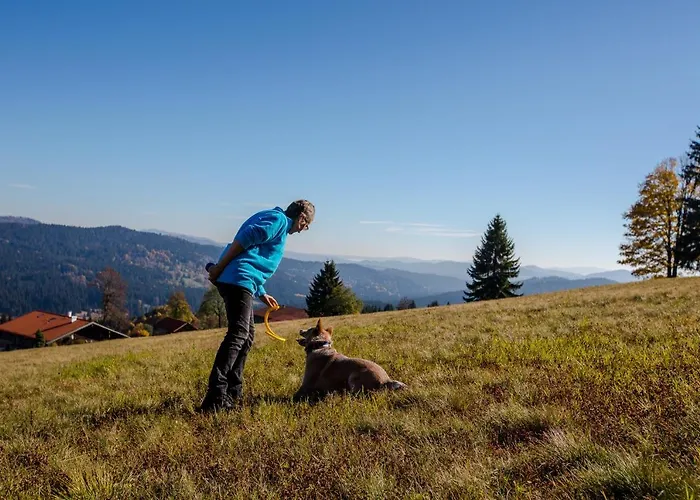 Szálloda Hunderesort Waldeck - 4 Sterne Urlaub Mit Hund