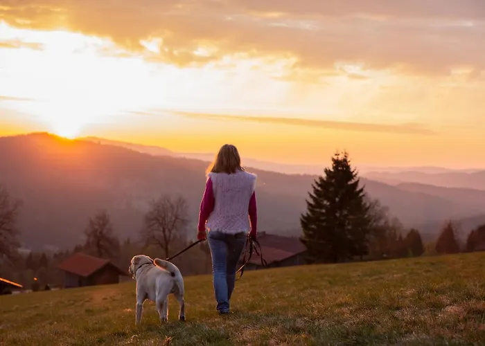 Hunderesort Waldeck - 4 Sterne Urlaub Mit Hund Szálloda Philippsreut