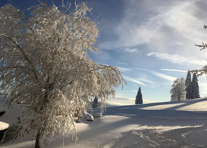Hotel Hunderesort Waldeck - 4 Sterne Urlaub Mit Hund Philippsreut